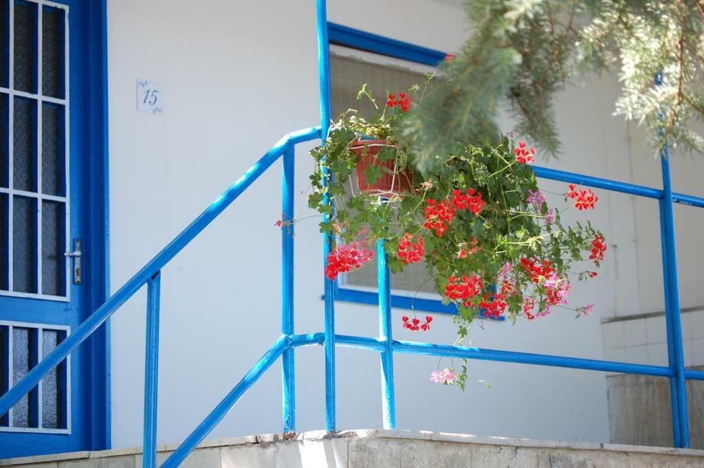 Комплекс Белите Къщи Shtarkelovo Gnezdo Exterior foto