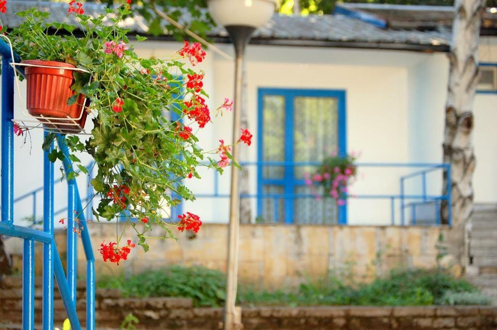 Комплекс Белите Къщи Shtarkelovo Gnezdo Exterior foto