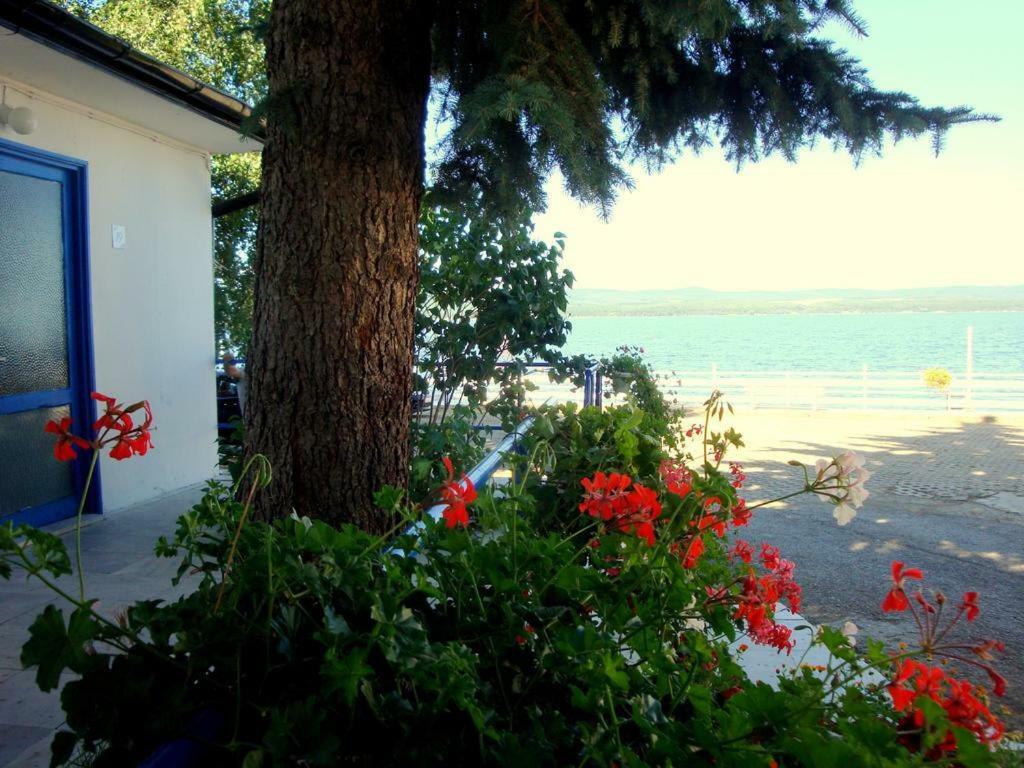 Комплекс Белите Къщи Shtarkelovo Gnezdo Exterior foto