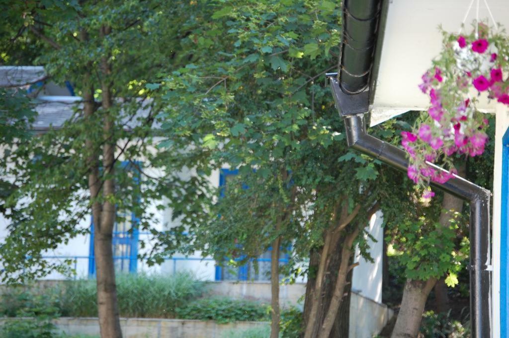 Комплекс Белите Къщи Shtarkelovo Gnezdo Exterior foto